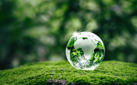 Our Sustainability Journey